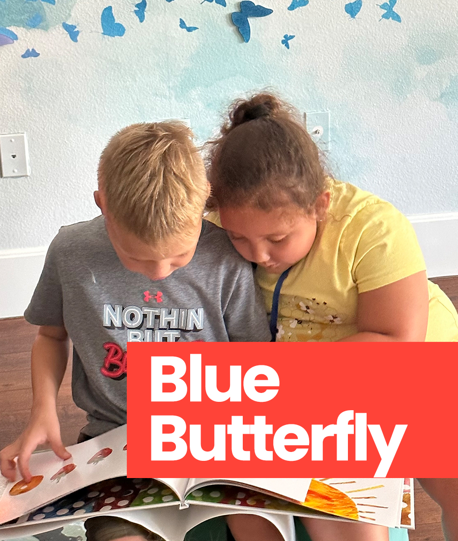 Blue Butterfly Program Header Image