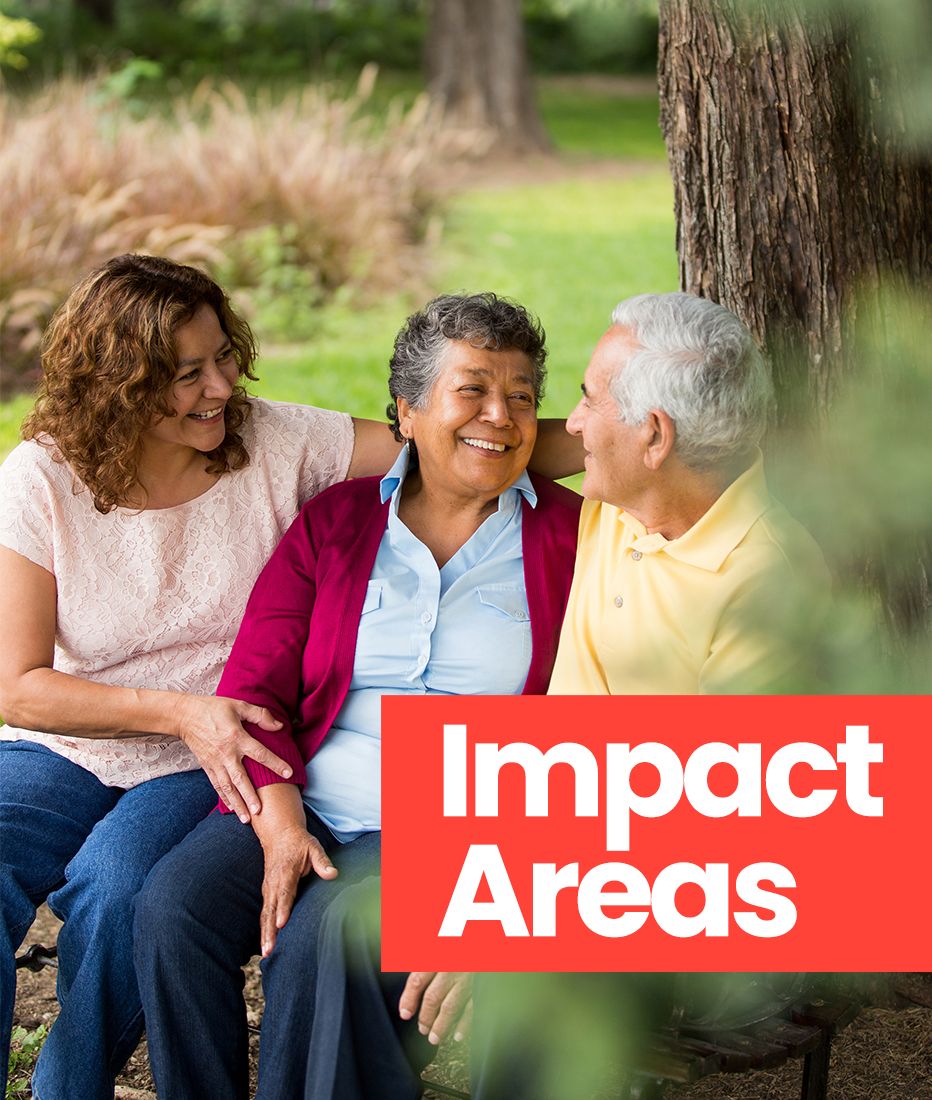 Impact Areas header image