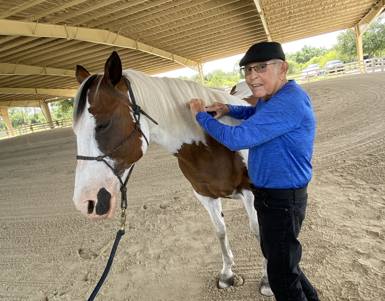 Older man in a blue long-sleeve shirt and black cap brushes a brown-and-white horse inside a covered riding arena.