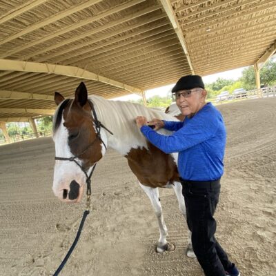 Older man in a blue long-sleeve shirt and black cap brushing a brown-and-white horse inside a covered riding arena.